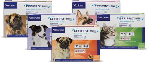 Tratamiento localizado EFFIPRO contra pulgas y garrapatas para gatos de más de 1,5 lb, 6 dosis (suministro para 6 meses)