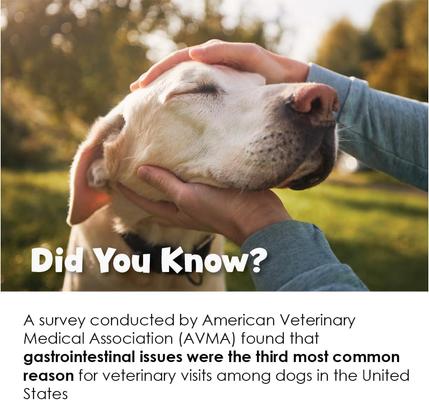 FloraCare G.I. Dog & Cat Supplement, 60-cc