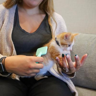 Coated Tips Cat Slicker Brush