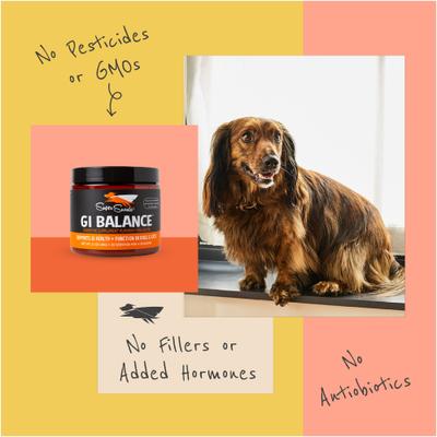 G.I. Balance Digestive Support Dog & Cat Supplement, 3.1-oz jar