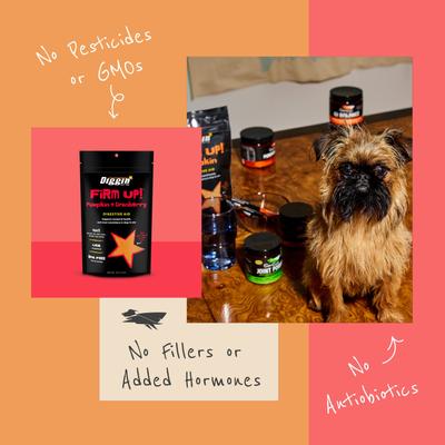 Firm Up! Pumpkin Plus Cranberry Super Dog & Cat Supplement, 4-oz bag