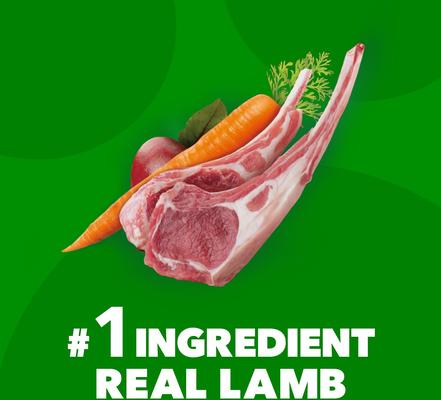 Bundle: Iams Proactive Health Minichunks Small Kibble with Lamb & Rice Dry Food + Pedigree Chopped Ground Dinner Variety Pack Wet Dog Food