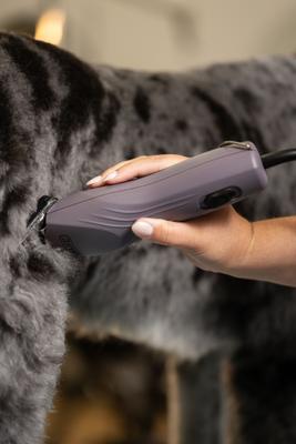 KM10+ Pro Pet Grooming Clipper, Purple