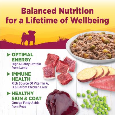 Comida húmeda para perros Complete Health Petite Entrees Adult Small Breed Grain-Free Lamb, Peas & Sweet Potato Casserole, taza de 3 oz, caja de 12