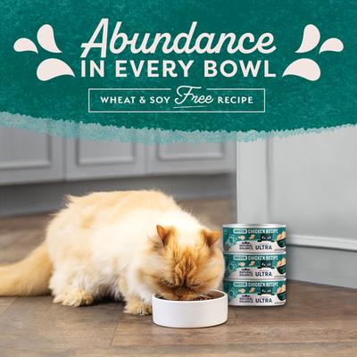 Ultra Premium Indoor Chicken Formula Canned Cat Food, 5.5-oz, case of 24