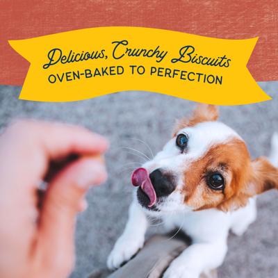 Bundle: Natural Balance Rewards Crunchy Biscuits with Real Bison + Real Salmon Dog Treats