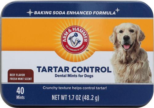 Tartar Control Dental Mints Beef Flavor Dog Dental Chews, 40 count