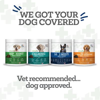 10in1 Multi Well Bites Dog Supplement, 60 count