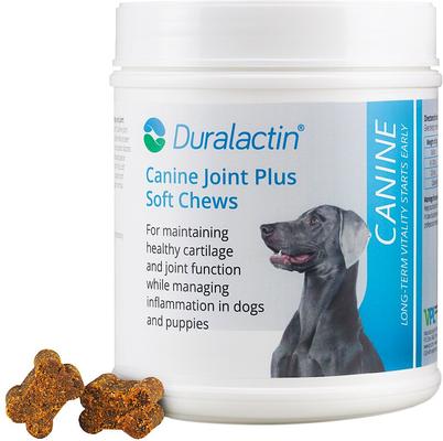 Canine Joint Plus Soft Chew Dog Supplement, 60 count