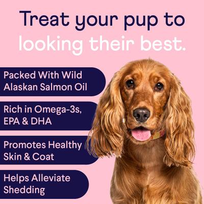 Bundle: Finn Digestive Prebiotic & Probiotic, 90 count + Skin & Coat Wild Alaskan Salmon Oil Dog Supplement, 90 count