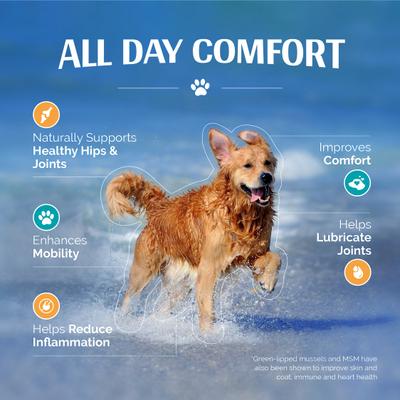 Flexerna Essentials Powder Joint Supplement for Dogs, 3-oz jar