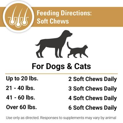 Salmon Oil Soft Chews Dog & Cat Supplement, 90 count
