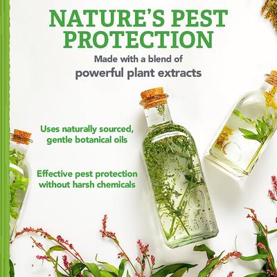 Flea & Tick Carpet Powder, 9-oz