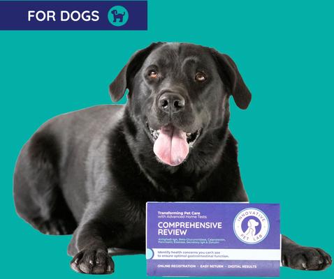 Comprehensive Review Dog Gut Check Kit