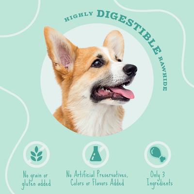 Twist Sticks Fresh Breath Spearmint Flavor Highly Digestible Rawhide Dental Dog Treat Chew, 25 count