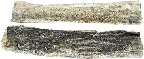 Sydney's Harbour Large Fish Planks Dehydrated Cat & Dog Treat, 2.5-oz bag