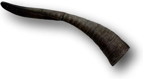 Goat Horn Dog Treats, Medium