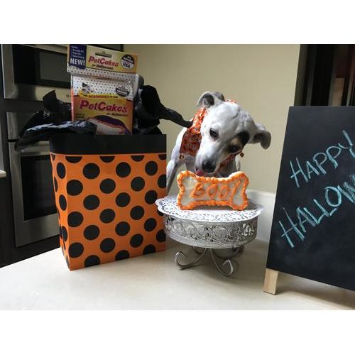 Halloween Turkey Flavored Cake Kit Dog Treats, 5-oz bag