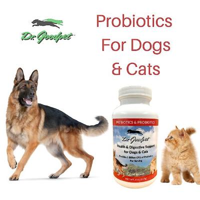 Prebiotics & Probiotics Health & Digestive Support Dog & Cat Supplement, 4-oz jar