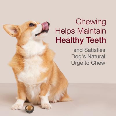 Deliciosas tazas masticables para perros con mantequilla de maní y sin cuero crudo, 5 unidades