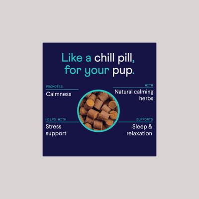 Bundle: Finn Allergy & Itch Beef Liver Flavored Soft Chew Allergy, 90 count + Calming Aid Soft Chew Dog Supplement, 90 count