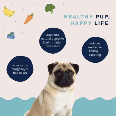 Gland Health Digestive Aid Chew Supplement for Dogs, 30 count