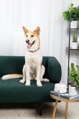 Dohm Classic Sound Machine, White