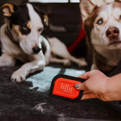 Hair Clean-up Pet Mini Blade