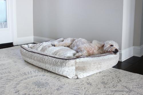 Damaged Hair Dog & Cat Conditioner, 16-fl oz bottle