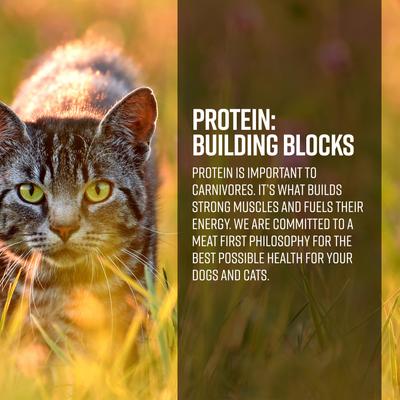 Ranch & Meadow Recipe Grain-Free Dry Cat Food, 4-lb bag