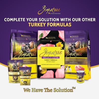 Turkey Flavored Soft Dog Treats, 4-oz bag