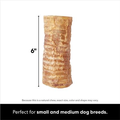 Beef Trachea 6" Dog Treat, 3 count