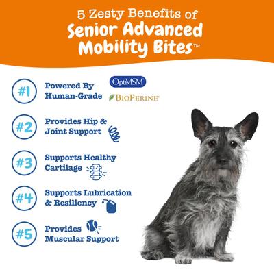 Bundle: Zesty Paws Advanced Mobility Chicken Flavored Chews Joint Supplement + Blue Buffalo Life Protection Formula Chicken & Brown Rice Recipe Dry Food for Senior Dogs
