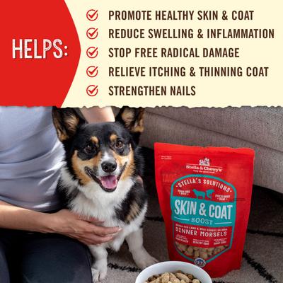 Paquete: Alimento liofilizado para perros Stella's Solutions Skin & Coat Lamb & Salmon + Hip & Joint Boost Chicken de Stella & Chewy's