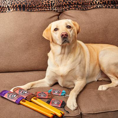 Pocket Travel-Size Pet Hair & Lint Remover, Black