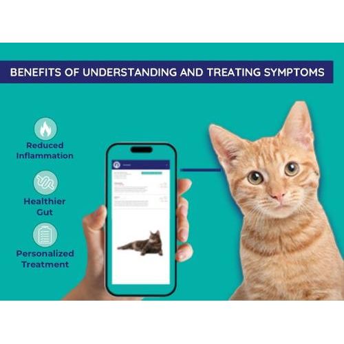 Comprehensive Gut Check Test Kit for Cats