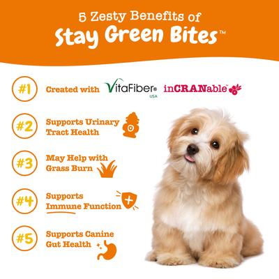 Bundle: Zesty Paws Grass Defense Stay Green Bites Digestive & Immune Health + 8-in-1 Multivitamin Bites Chicken Flavor Dog Supplement