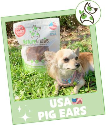 USA Pig Ears Natural Dog Chew Treats, 10 count