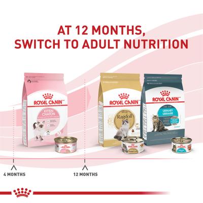 Feline Health Nutrition Kitten Loaf in Sauce Canned Cat Food, 3-oz, case of 24