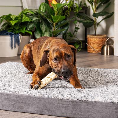 Palitos trenzados de piel de res de 7 pulgadas, masticables duros con sabor natural para perros, 6 unidades