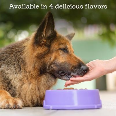 Delicious Peanut Butter Flavored Pill Wrap Dog Treat, 4.2-oz jar