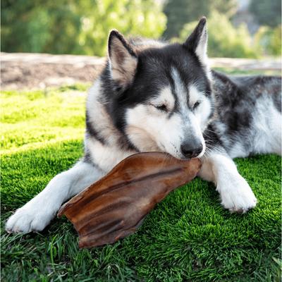 Golosinas para perros de orejas de vaca ahumadas, 5 unidades