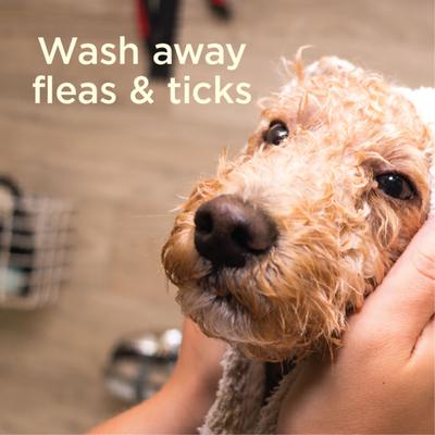 Flea & Tick Dog Shampoo