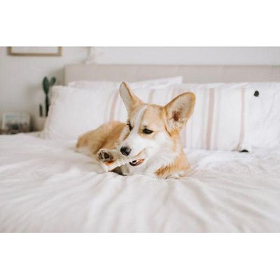 Repuestos de golosinas naturales para perros Knuckle Bone Pop-In, 90 unidades