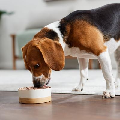 Chicken & Rice Dinner Gluten-Free Wet Dog Food, 20.2-oz can, case of 12