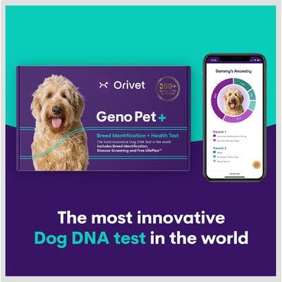 Orivet Geno Pet Plus Dog DNA Breed Identification + Health Test