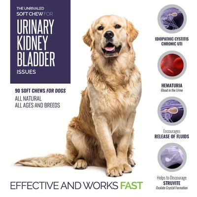 Suplemento masticable para perros UroMAXX, fórmula para riñones y vejiga urinaria, 90 unidades