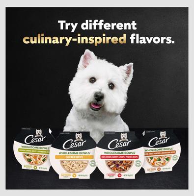 Wholesome Bowls Chicken, Carrots, Barley & Green Beans Recipe Small Breed Adult Wet Dog Food, 3-oz tray, case of 10