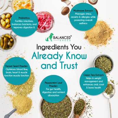 Canine Probiotic & Odor Control Natural Pumpkin Flavored Soft Chew Digestive Aid Supplement for Dogs, 60 count