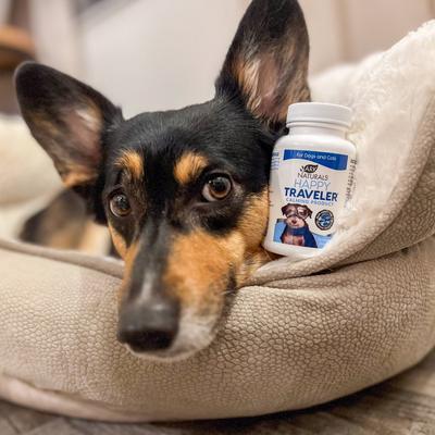 Happy Traveler Capsule Calming Supplement for Dogs & Cats, 30 capsules